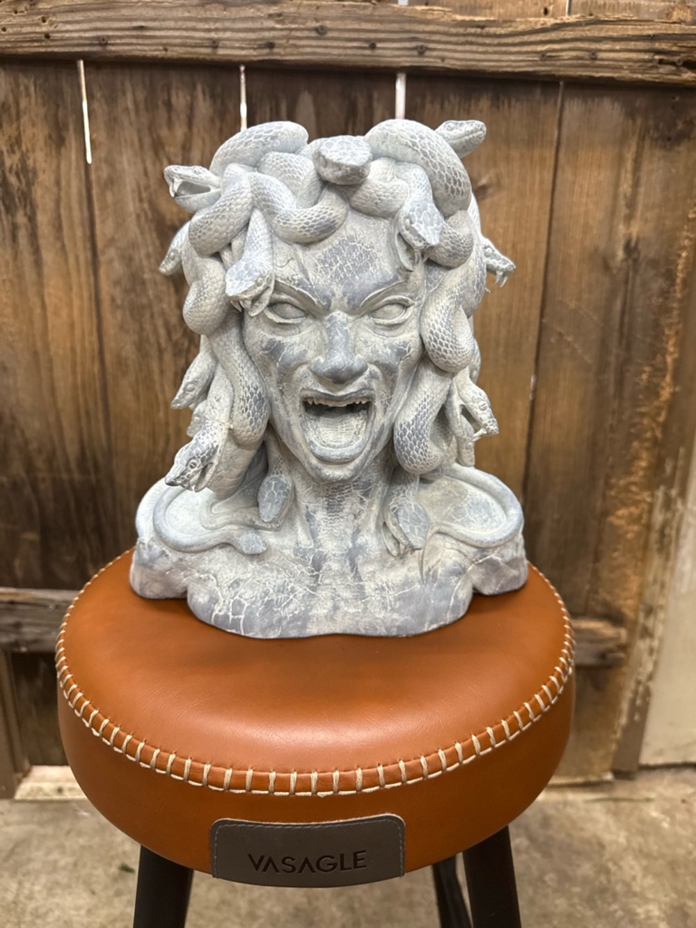 Medusa Bust planter